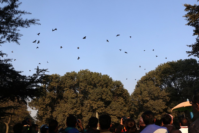 रत्नपार्कमा ‘काग’ सम्मेलन