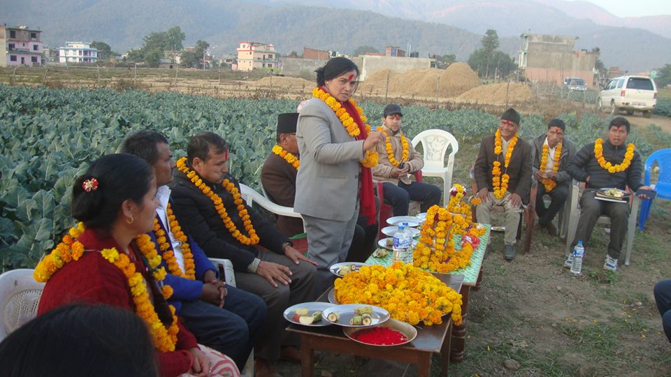 किसानले निराश हुनु पर्दैन : कृषि मन्त्री केसी