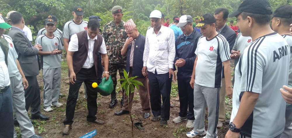 कर्णाली प्रदेशमा वृक्षारोपण अभियानको सुरुवात : मुख्यमन्त्रीद्वारा वृक्षारोपण