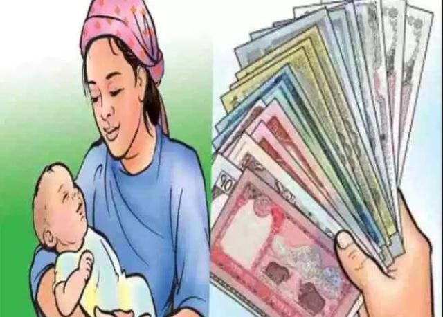 टोल विकास संस्थाको काम