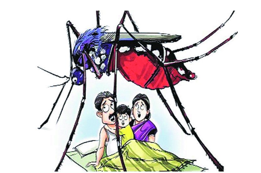 सुर्खेतमा भेटियो डेंगु