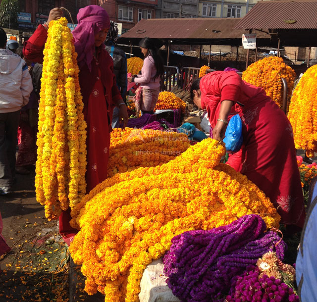 सकियो तिहार : ३१ जुवाडे विरुद्ध ५ मुद्दा दायर