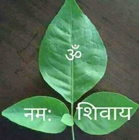 आज सोमबारे औंसी व्रत