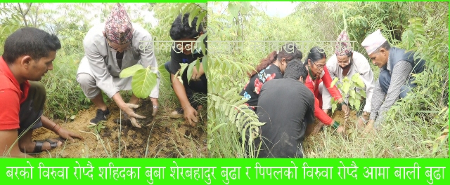 शहिदका बाबाआमाले रोपे बर-पिपल