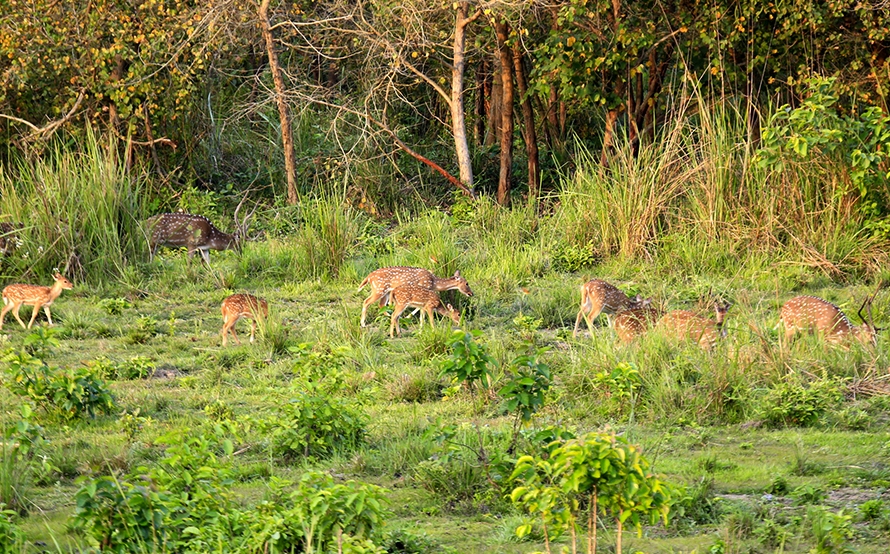 पर्यटनका पूर्वाधारमा अब तीन तहकै सरकारको साझा लगानी