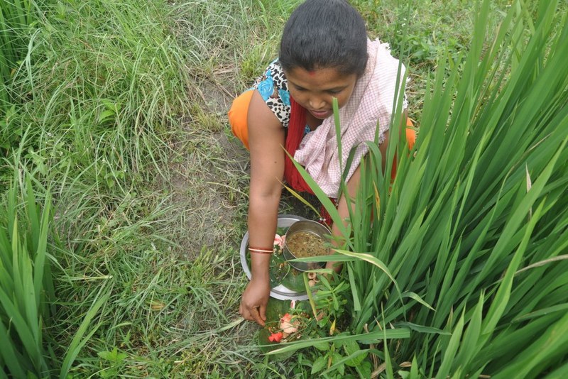 गुन्हु पुन्ही पर्व मनाउँदै नेवार समुदाय