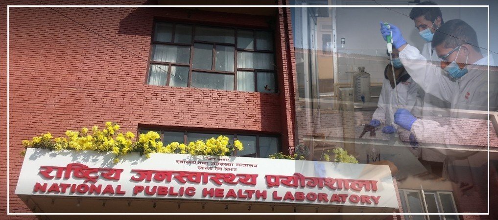 संक्रमणबाट ६१ जना निको