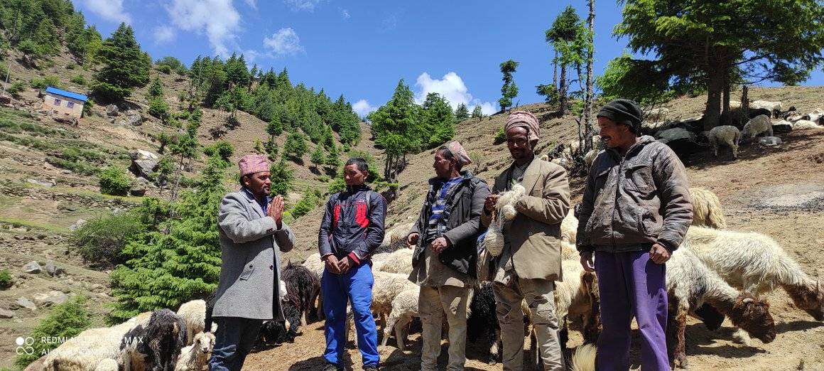 युवा नेता शाही जनताको घरदैलोदेखि भेडीगोठसम्म
